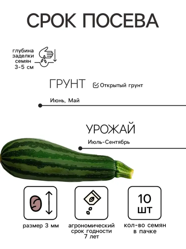 Семена кабачок, смесь сортов цуккини, ассорти, 10 шт., &laquo;Уральский Дачник&raquo;