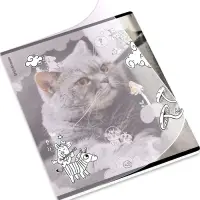 Тетрадь 48 листов в клетку ErichKrause Dream Cat, 60 г/м&sup2;, обложка мелованный картон, МИКС