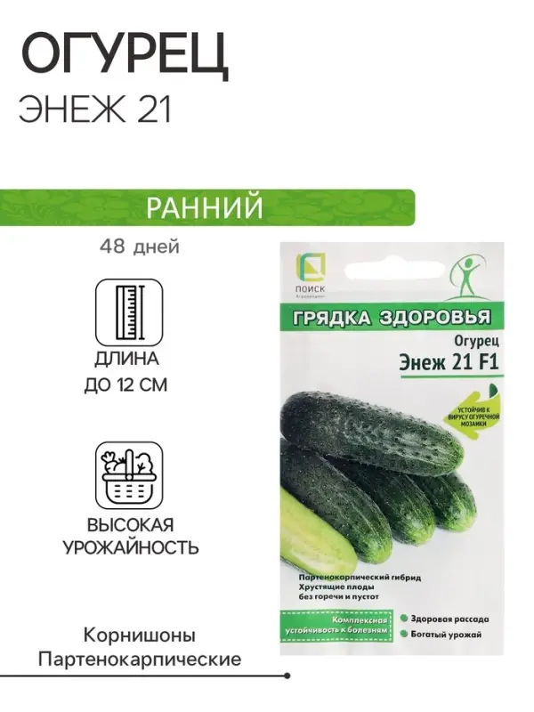 Семена Огурец "Энеж 21", F1, 12 шт
