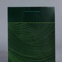 Пакет подарочный ламинированный &laquo;Сдержанный шарм&raquo;, тёмно зелёный, 18&times;22.3&times;10 см