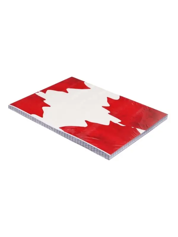 Сменный блок для тетрадей на кольцах А5, 120 листов, в клетку, Calligrata, блок офсет № 160 г/м&sup2;, белизна 100%