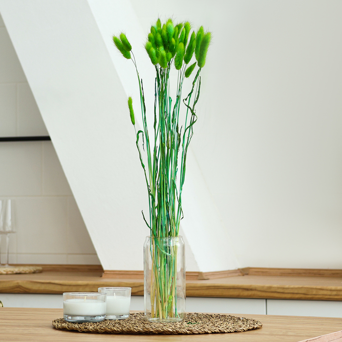 Сухоцветы «Лагурус», набор 30 шт., цвет зелёный Сухоцветы «Лагурус», набор 30 шт., цвет зелёный