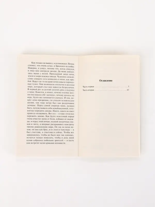 Книга &laquo;Посторонний&raquo;, Альбер Камю