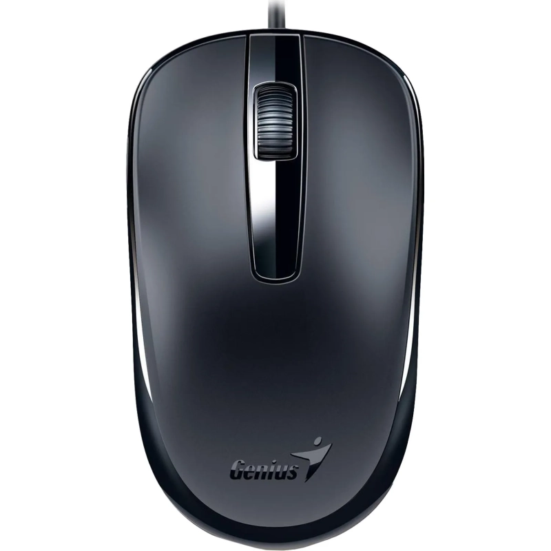 Мышь компьютерная Genius DX-120, Optical, USB, 1000dpi, Black, 31010010400