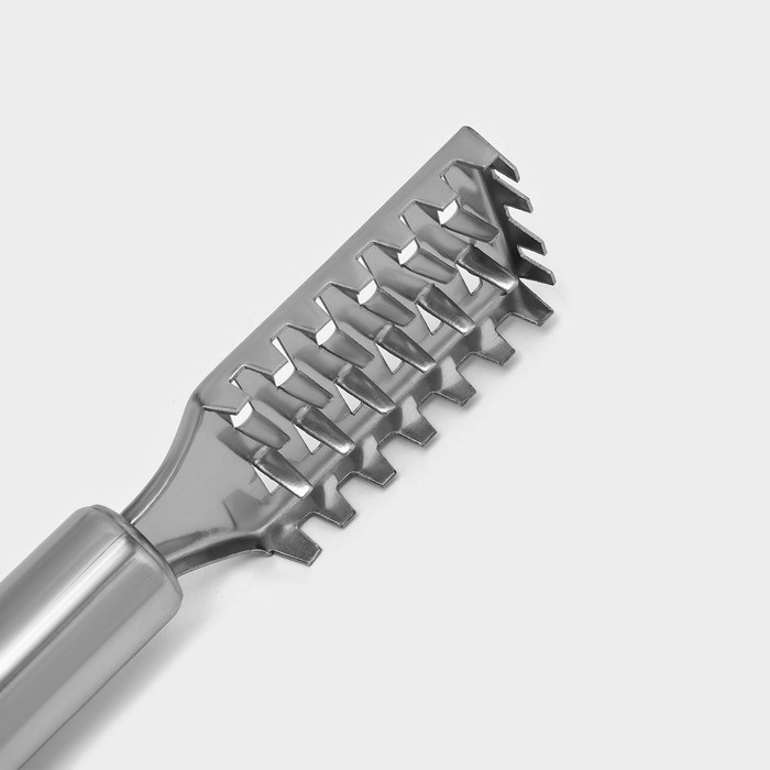 Рыбочистка Доляна «Металлик», 20 см, цвет серебристый Рыбочистка Доляна «Металлик», 20 см, цвет серебристый