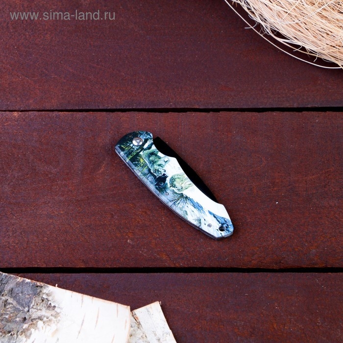 Нож перочинный складной Нож перочинный складной "Волк" 15,6см, клинок 70мм/2,3мм