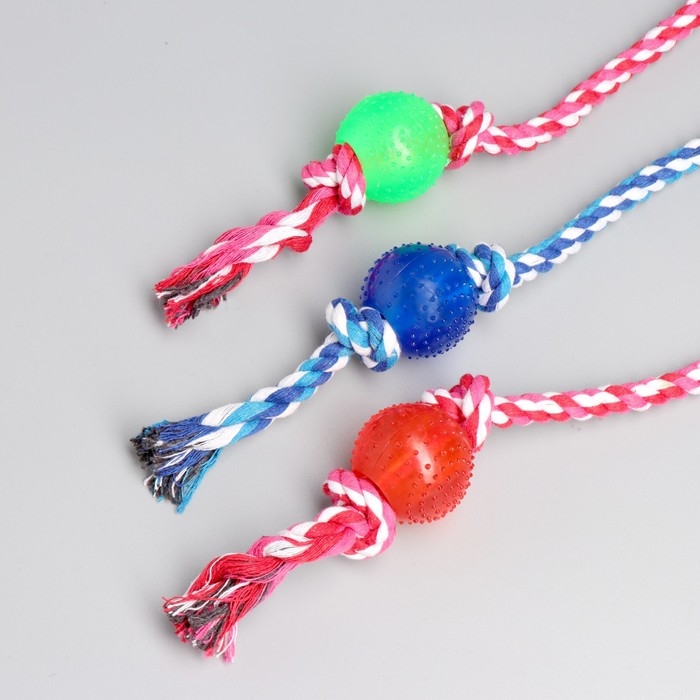 Игрушка-дразнилка для собак с мячиком, 95 г, до 54 см, микс цветов Игрушка-дразнилка для собак с мячиком, 95 г, до 54 см, микс цветов
