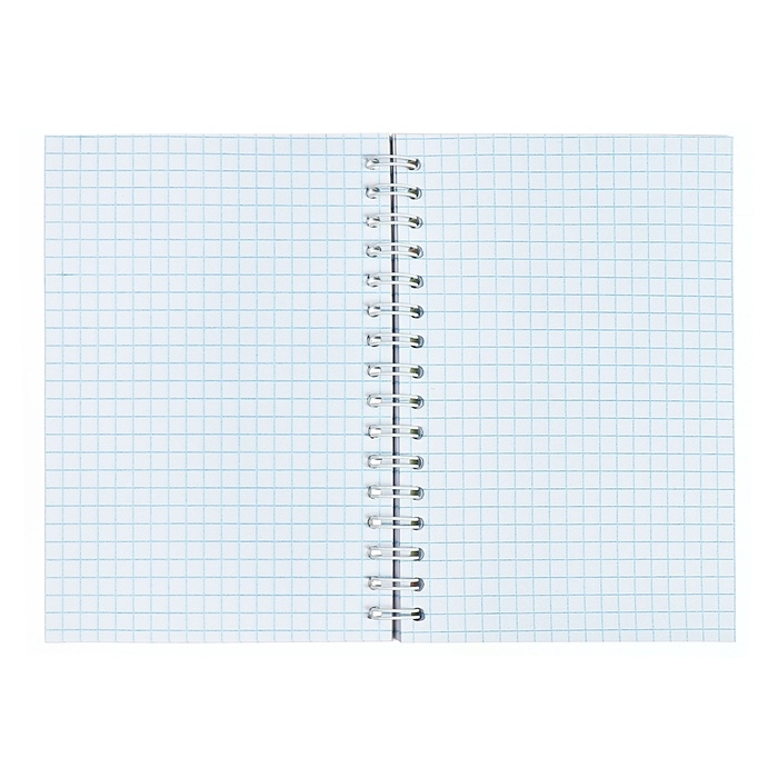 Записная книжка А6 80 листов на гребне Мульти-Пульти Записная книжка А6 80 листов на гребне Мульти-Пульти "Чебурашка"