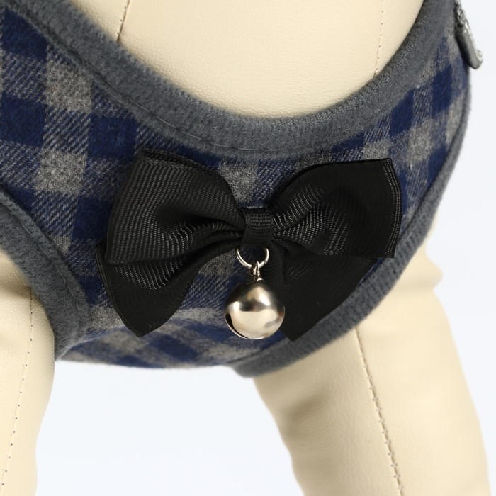 Комплект амуниции с мягкой шлейкой, XL, поводок 120 х 1,5 см, ОШ 38-52 см, ОГ 42-60 см, серый   7119 Комплект амуниции с мягкой шлейкой, XL, поводок 120 х 1,5 см, ОШ 38-52 см, ОГ 42-60 см, серый   7119