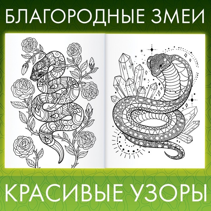 Раскраска «Прекрасные и опасные змеи», 20 × 28, 32 раскраски, формат А4 Раскраска «Прекрасные и опасные змеи», 20 × 28, 32 раскраски, формат А4