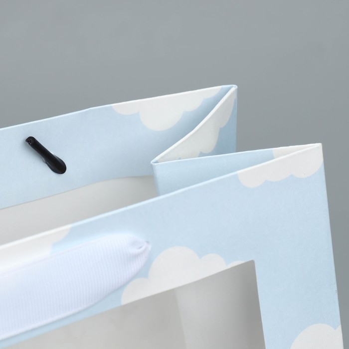 Пакет подарочный крафтовый с пластиковым окном, упаковка, «Friends», 24 х 20 х 11 см Пакет подарочный крафтовый с пластиковым окном, упаковка, «Friends», 24 х 20 х 11 см