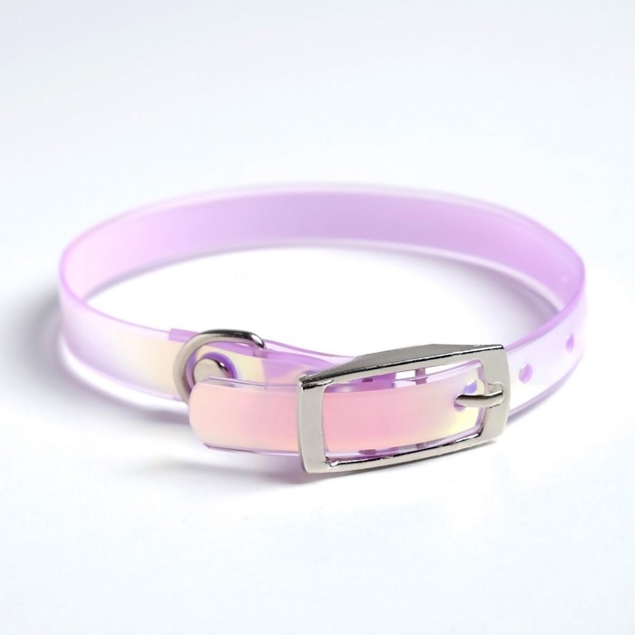 Ошейник для собак и кошек с фастексом «Неон», 30 х 1 см Ошейник для собак и кошек с фастексом «Неон», 30 х 1 см