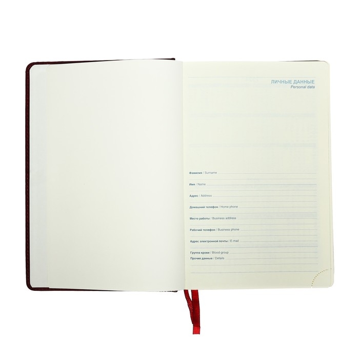 Ежедневник датированный 2025 года, A5, 168 листов в линейку, кожзам  Ежедневник датированный 2025 года, A5, 168 листов в линейку, кожзам "Небраска", золотой срез, бордовый