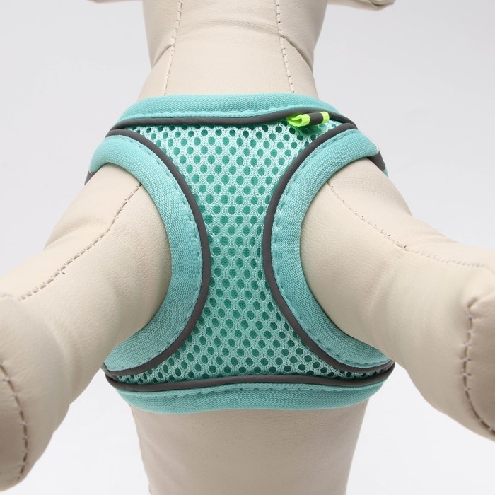 Комплект с мягкой шлейкой, быстросъемный, XS, поводок 150 х1,5 см, ОШ 29-32 ОГ 31-34 см, бирюзовый Комплект с мягкой шлейкой, быстросъемный, XS, поводок 150 х1,5 см, ОШ 29-32 ОГ 31-34 см, бирюзовый