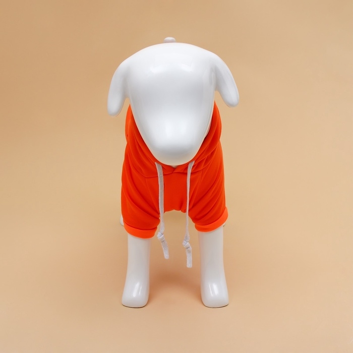 Толстовка Толстовка "Любимая морковка", размер XL (ДС 40, ОГ 56 см)