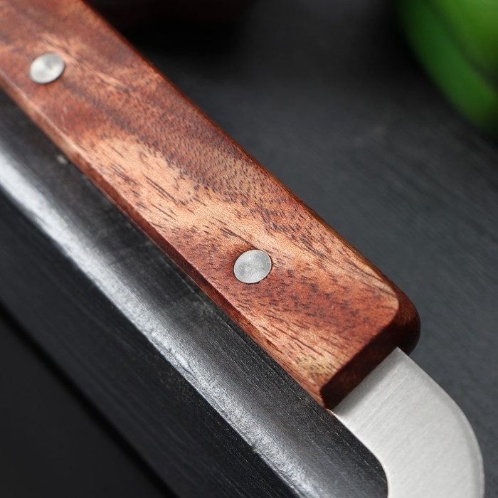 Нож для фигурной резки Доляна, 18×12 см, цвет серебристый Нож для фигурной резки Доляна, 18×12 см, цвет серебристый