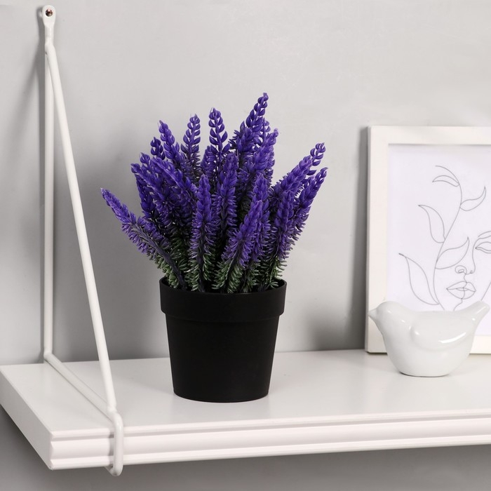 Бонсай в горшке Бонсай в горшке "Лаванда" 9х18 см, микс