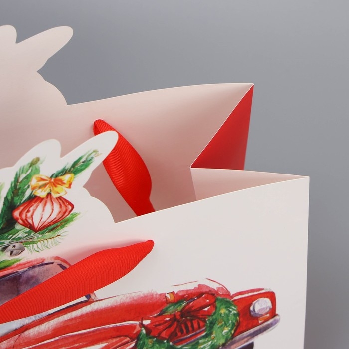 Пакет подарочный новогодний «Спешу к тебе», 30 х 25 х 10 см, Новый год Пакет подарочный новогодний «Спешу к тебе», 30 х 25 х 10 см, Новый год