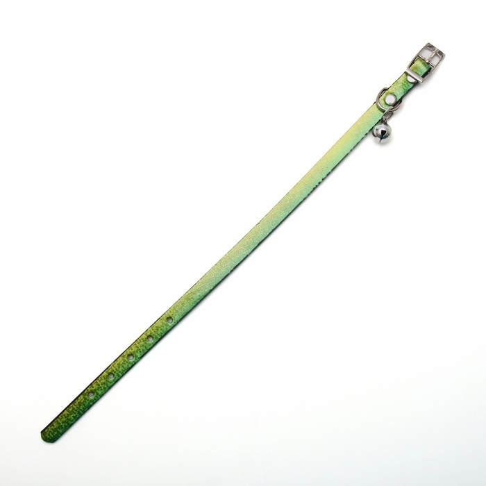 Ошейник лаковый Ошейник лаковый "Радуга", 30 х 1 см, микс