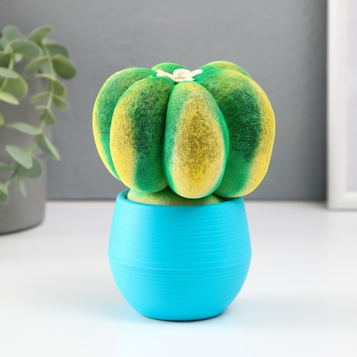 Растущий подарок травка Экоживчик Растущий подарок травка Экоживчик "Кактус Астрофитум" МИКС