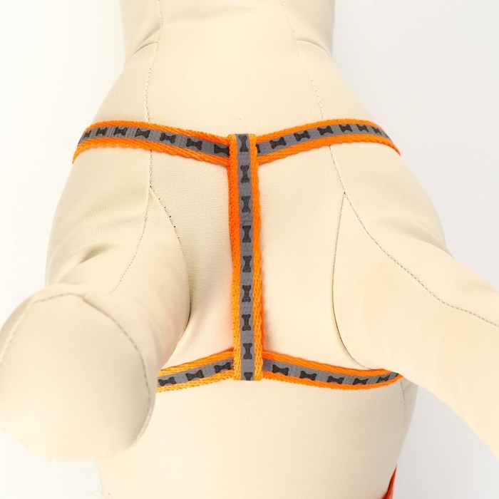 Комплект светоотражающий  Комплект светоотражающий "Косточки", ошейник 120 х 1 см, ОШ 24-40 см, ОГ 24-40 см оранжевый