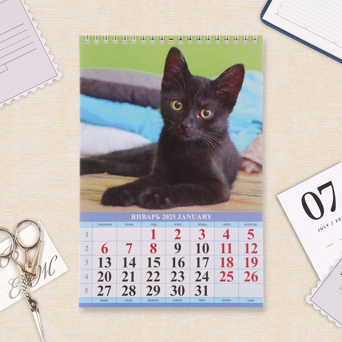 Календарь на пружине без ригеля Календарь на пружине без ригеля "Котята" 2025 год, 17 х 25 см