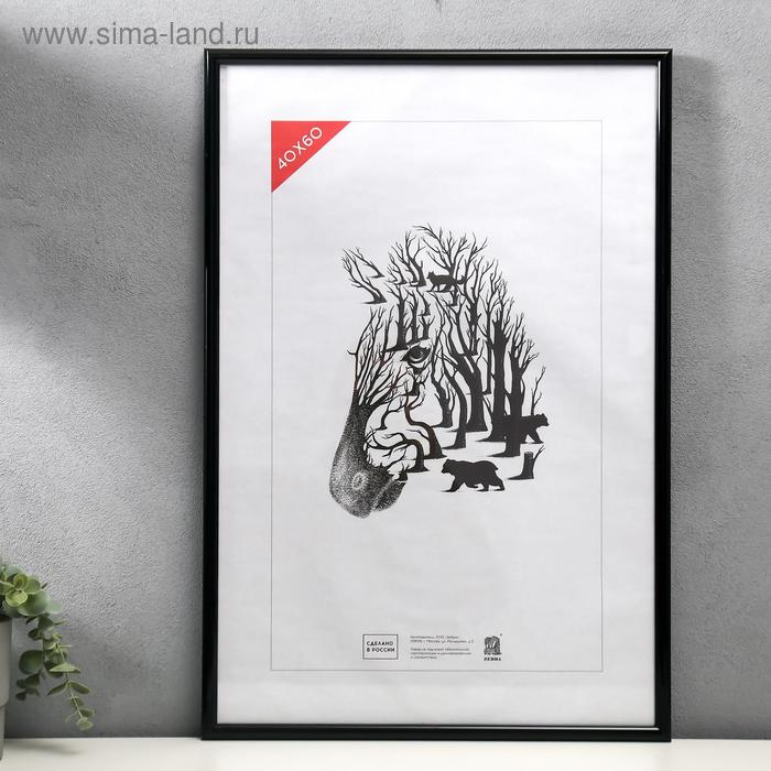 Фоторамка пластик 40х60 см черный (508) (пластиковый экран) Фоторамка пластик 40х60 см черный (508) (пластиковый экран)