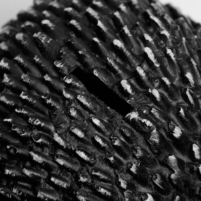 Копилка Копилка "Ежик веселый" 21х16х12см