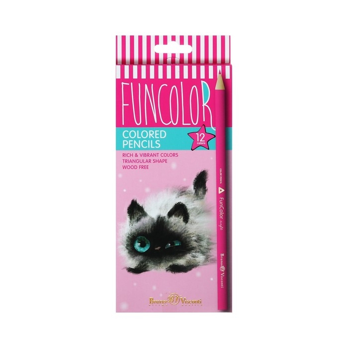 Карандаши 12 цветов FunColor, пластиковые, трёхгранные, МИКС Карандаши 12 цветов FunColor, пластиковые, трёхгранные, МИКС