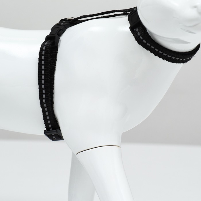 Шлейка для кошек, ширина 1 см, светоотражающий, ОШ 16,5-27 см, ОГ 21-35 см, чёрный Шлейка для кошек, ширина 1 см, светоотражающий, ОШ 16,5-27 см, ОГ 21-35 см, чёрный