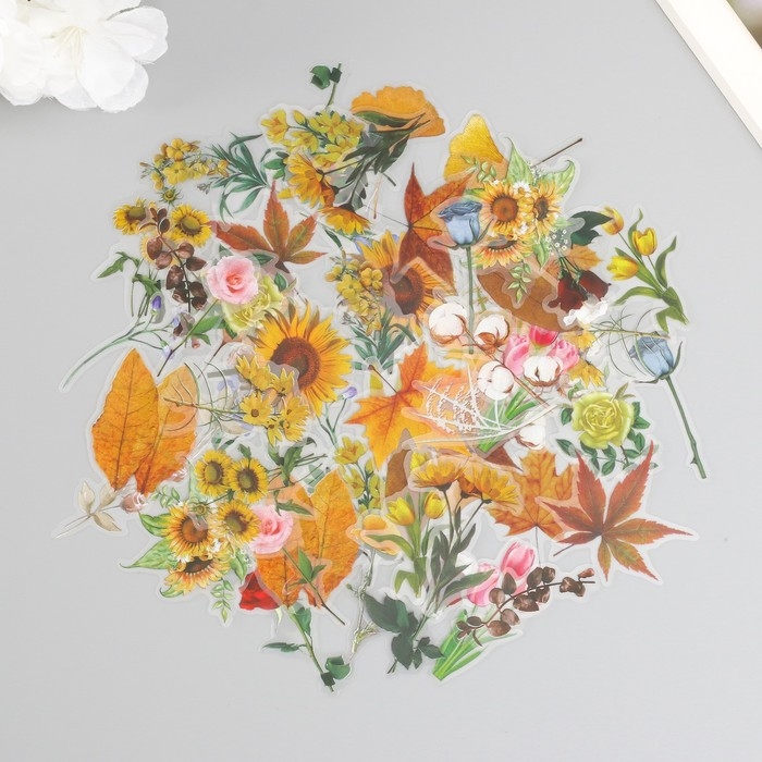 Наклейки для творчества пластик PVC Наклейки для творчества пластик PVC "Разнообразие природы" набор 60 шт 10х14 см