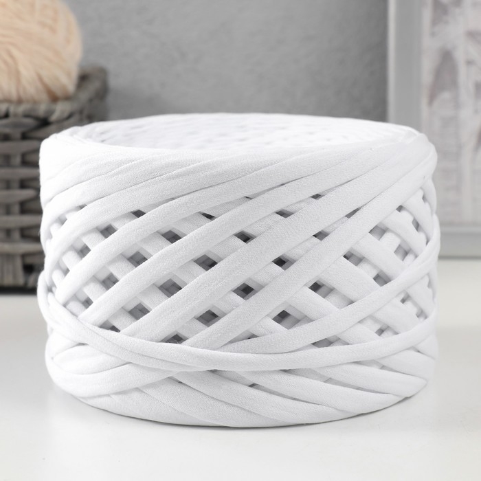 Трикотажная пряжа, ширина 7-9 мм, 100м/295 гр±10% (00 - белый)