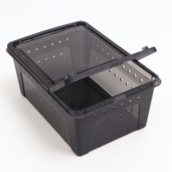 Переноска - отсадник для рептилий, 26 х 17,5 х 11,5 см, черная Переноска - отсадник для рептилий, 26 х 17,5 х 11,5 см, черная