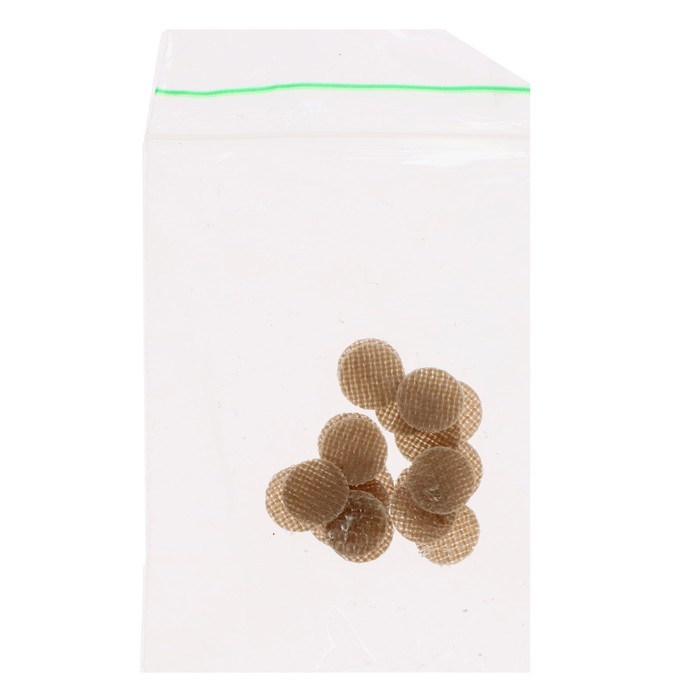 Развивающий комплект «Коврограф «Ларчик» + методика Развивающий комплект «Коврограф «Ларчик» + методика