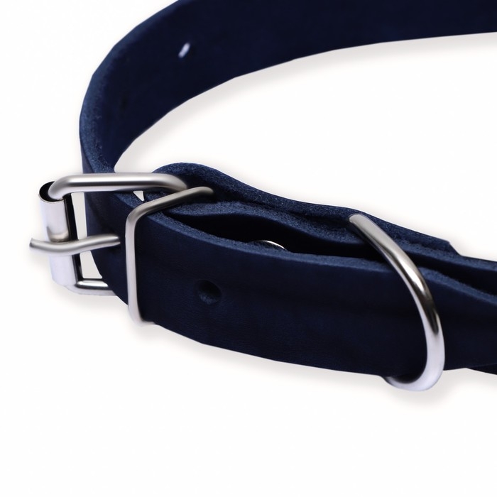 Ошейник кожаный однослойный, 54 х 2,5 см, ОШ 35-45 см, синий Ошейник кожаный однослойный, 54 х 2,5 см, ОШ 35-45 см, синий