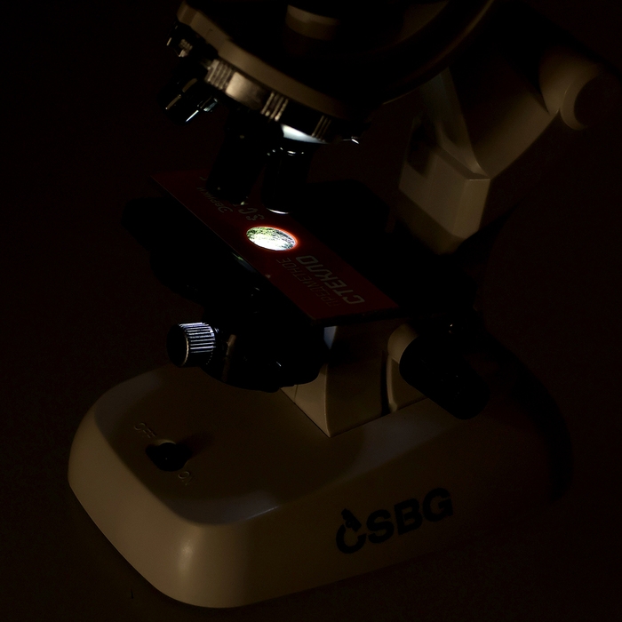 Микроскоп, с планетой, держатель для телефона, подсветка, увеличение x100, x400, x1200 Микроскоп, с планетой, держатель для телефона, подсветка, увеличение x100, x400, x1200