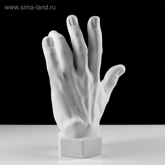 Гипсовая фигура кисть вертикальная, 14 х 31,5 х 42 см Гипсовая фигура кисть вертикальная, 14 х 31,5 х 42 см