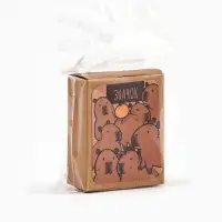 Значок в коробочке &laquo;Капибара&raquo;, 2.5&times;4 см