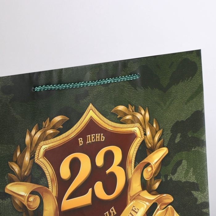 Пакет подарочный ламинированный горизонтальный, упаковка, «С 23 февраля», L 28 х 38 х 9 см