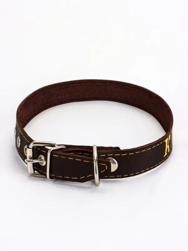 Ошейник &laquo;Красавчик&raquo;, 60&times;2.5 см, однослойный, тиснение фольгой, кожа, цвет МИКС
