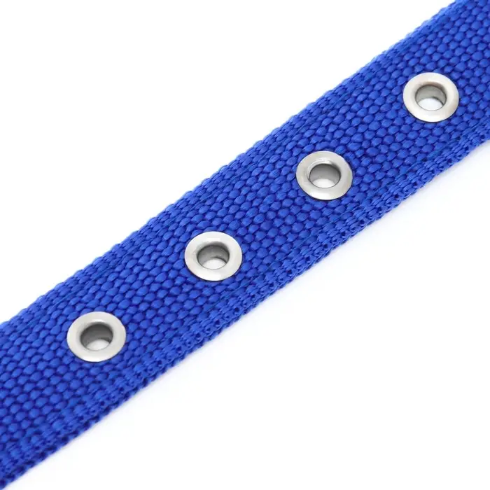 Ошейник &laquo;Комфорт&raquo; комбинированный (полиэстер, искусственная кожа), 55&times;2.5 см, ОШ 40-50 см, синий 6