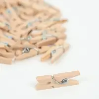 Прищепки для декора, набор 40 шт., 2.5&times;0.8 см