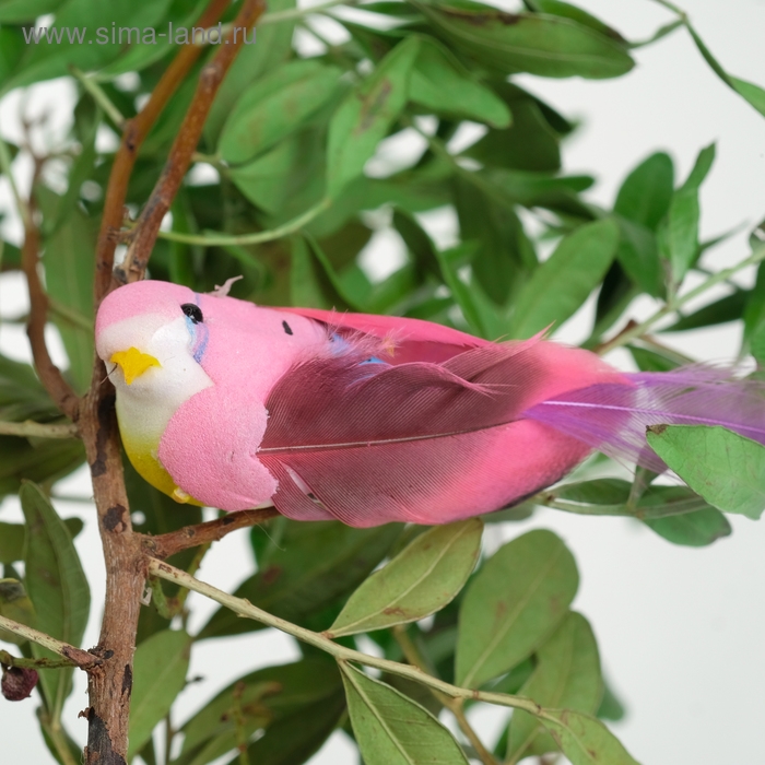 Птичка для декора и флористики, на прищепке, МИКС, пластиковая, 1шт., 8 х 8 см Птичка для декора и флористики, на прищепке, МИКС, пластиковая, 1шт., 8 х 8 см