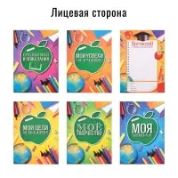 Папка школьная на кольцах &laquo;Портфолио школьника&raquo;, 6 листов-разделителей, 24.5&times;32 см.