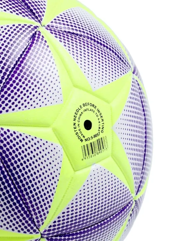Футбольный мяч MINSA, машинная сшивка, 12 панелей, р. 5, TPE
