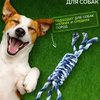 Игрушка канатная &laquo;Плетёнка&raquo;, малая, до19 см, 25-29 г, цвет МИКС
