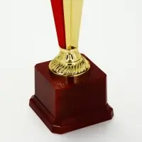 Кубок спортивный 196 С цвет зол, на пластиковой подставке, 23,6 &times; 7,5 &times; 7,5 см