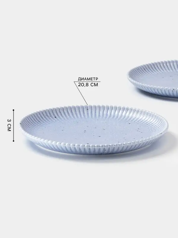 Тарелки Доляна &laquo;Коралл&raquo;, d=20.8 см, набор 2 шт., фарфор, голубые