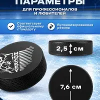 Шайба хоккейная Winter Star, взрослая, d=7.6 см