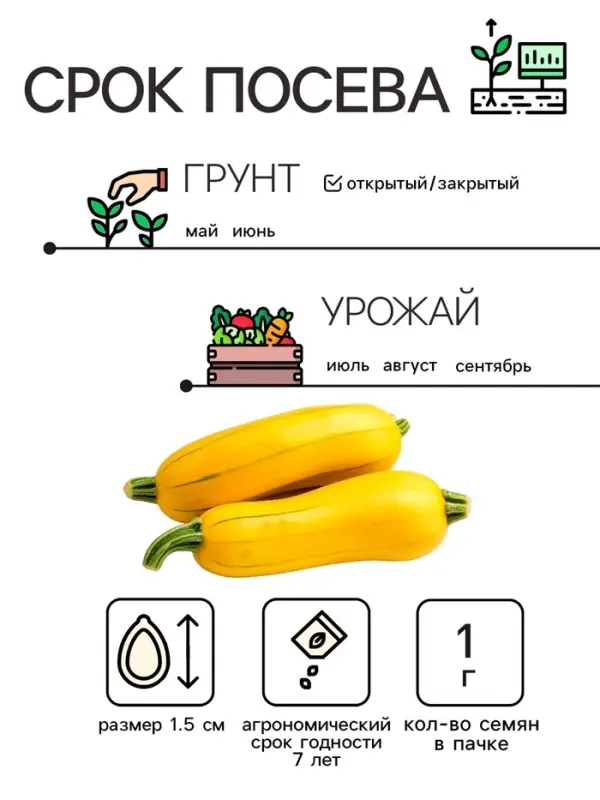 Семена Кабачок цуккини  Семена Кабачок цуккини "Желтоплодный", 1 г
